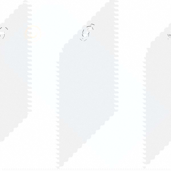 Blank Tag: 3-3/4'' High, White, Synthetic Paper